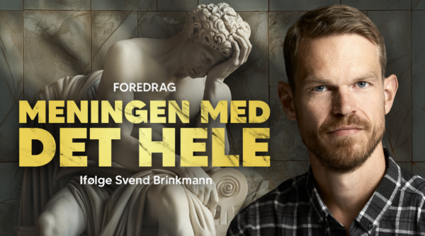 Meningen med det hele